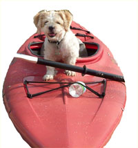 tobey the kayaker